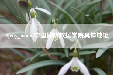 儋州中国消防救援学院具体地址