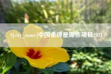 儋州中国金牌是哪些项目2021