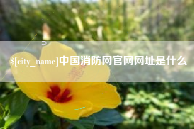 儋州中国消防网官网网址是什么
