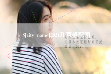 儋州2021九宫格配图
