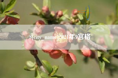 儋州2021年9宫格