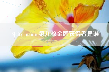 儋州第九枚金牌获得者是谁