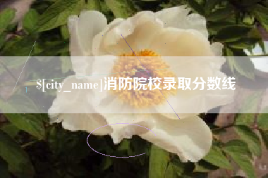 儋州消防院校录取分数线