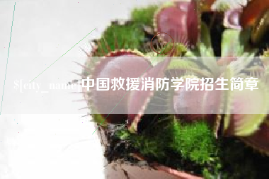 儋州中国救援消防学院招生简章