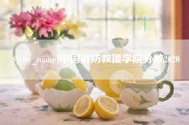 儋州中国消防救援学院分数2020