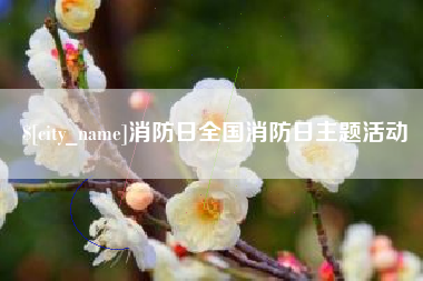 儋州消防日全国消防日主题活动