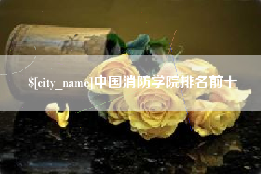儋州中国消防学院排名前十