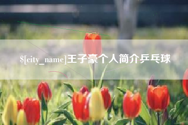 儋州王子豪个人简介乒乓球