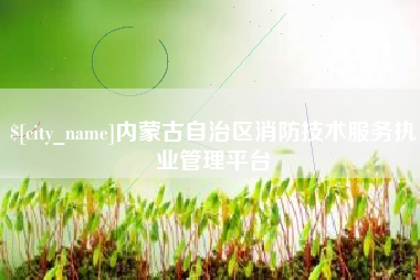 儋州内蒙古自治区消防技术服务执业管理平台