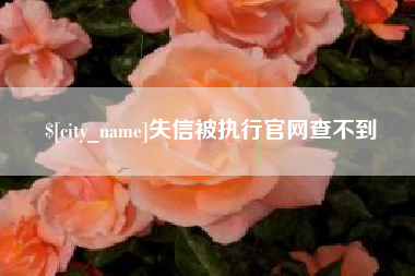 儋州失信被执行官网查不到
