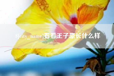儋州看看王子豪长什么样
