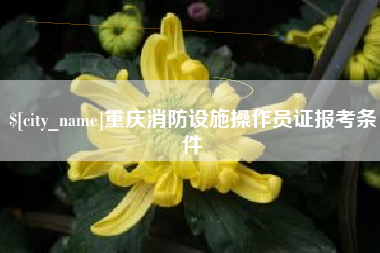 儋州重庆消防设施操作员证报考条件