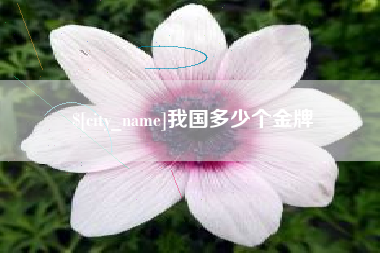 儋州我国多少个金牌
