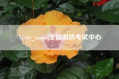 儋州全国消防考试中心