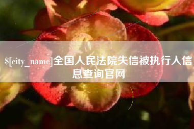 儋州全国人民法院失信被执行人信息查询官网