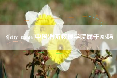 儋州中国消防救援学院属于985吗