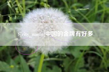 儋州中国的金牌有好多