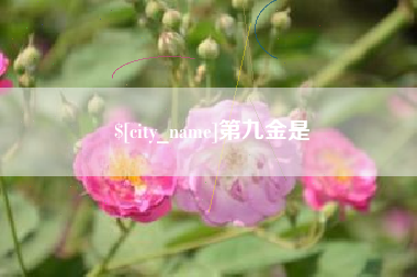 儋州第九金是