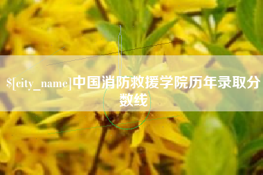 儋州中国消防救援学院历年录取分数线