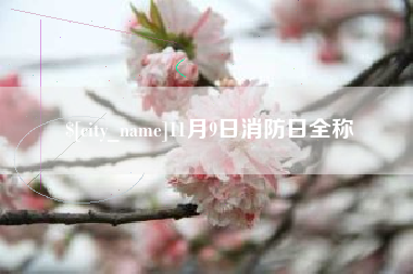 儋州11月9日消防日全称