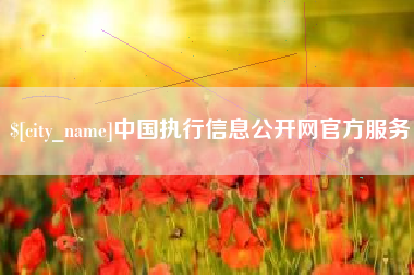 儋州中国执行信息公开网官方服务
