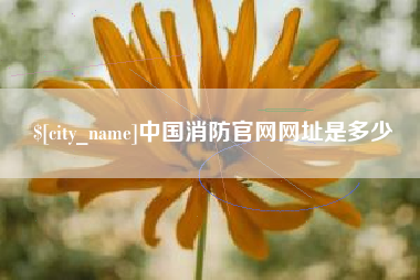 儋州中国消防官网网址是多少