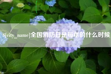 儋州全国消防日是每年的什么时候