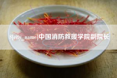 儋州中国消防救援学院副院长