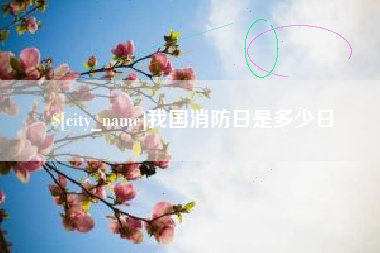 儋州我国消防日是多少日