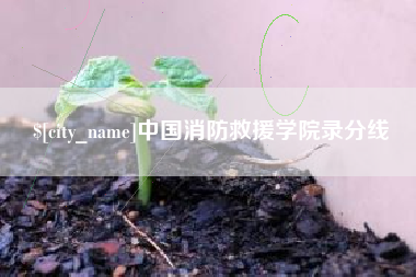 儋州中国消防救援学院录分线