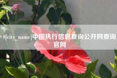 儋州中国执行信息查询公开网查询官网