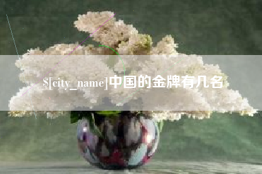 儋州中国的金牌有几名