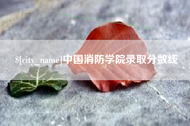 儋州中国消防学院录取分数线