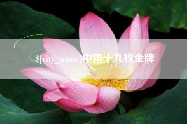 儋州中国十九枚金牌