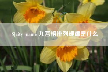 儋州九宫格排列规律是什么