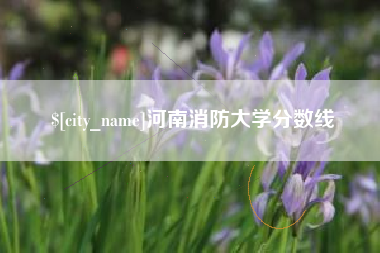 儋州河南消防大学分数线