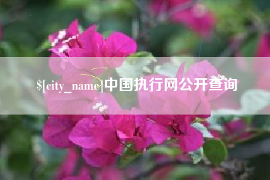 儋州中国执行网公开查询