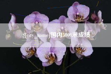 儋州国内5000米成绩