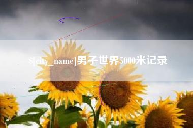 儋州男子世界5000米记录