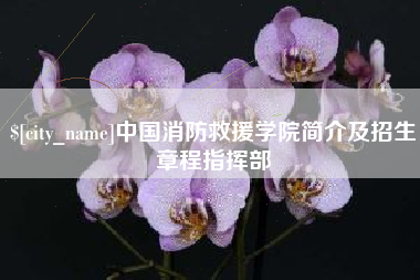 儋州中国消防救援学院简介及招生章程指挥部
