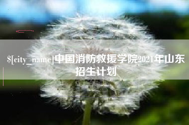 儋州中国消防救援学院2021年山东招生计划