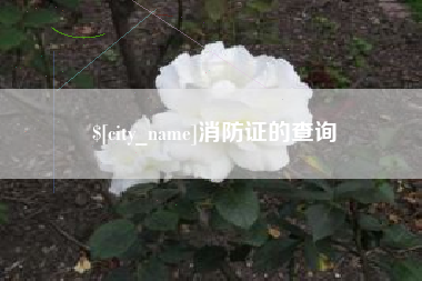 儋州消防证的查询