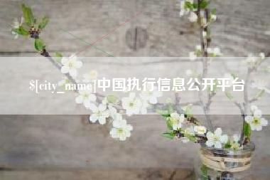 儋州中国执行信息公开平台