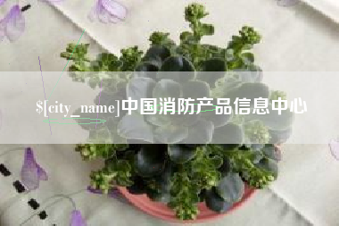 儋州中国消防产品信息中心