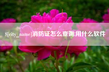 儋州消防证怎么查询,用什么软件