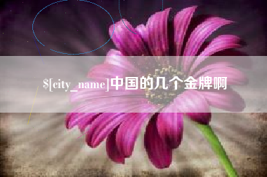 儋州中国的几个金牌啊