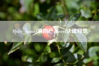 儋州消防产品cccf认证目录