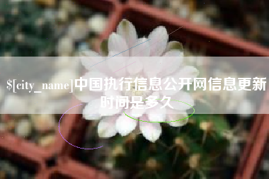 儋州中国执行信息公开网信息更新时间是多久