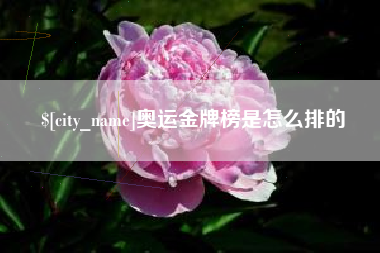 儋州奥运金牌榜是怎么排的