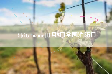 儋州11月9日全国消防日